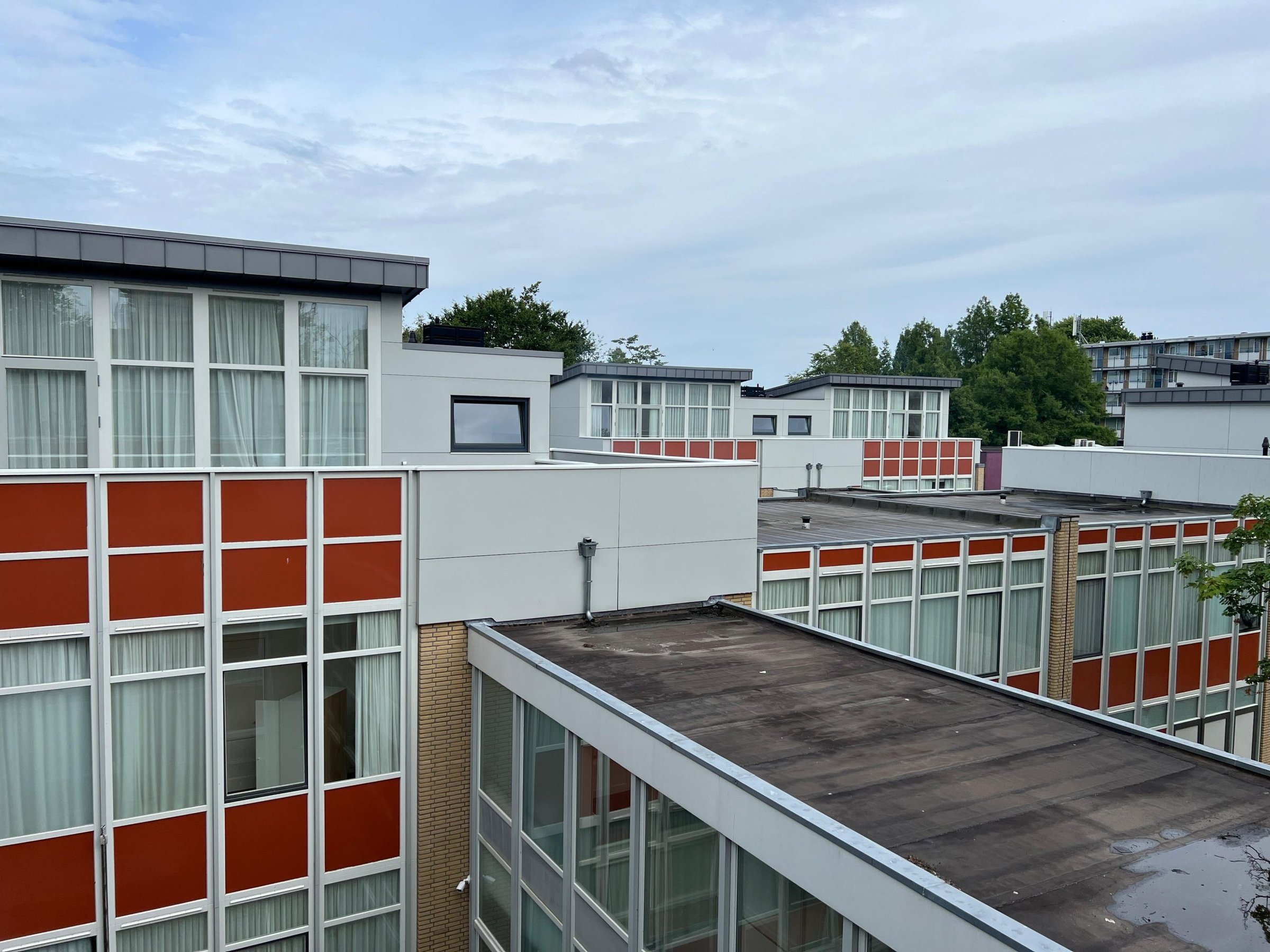 Zuid Kompas Het Lage Land Berlagepad