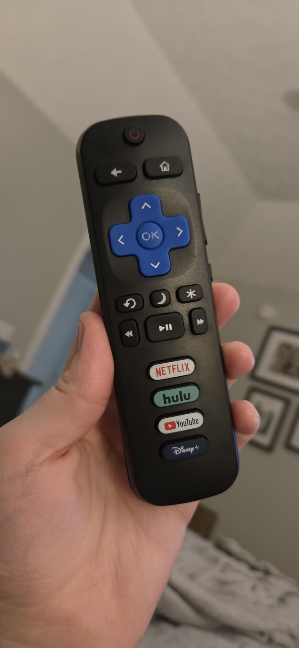 Universal TV Remote Control