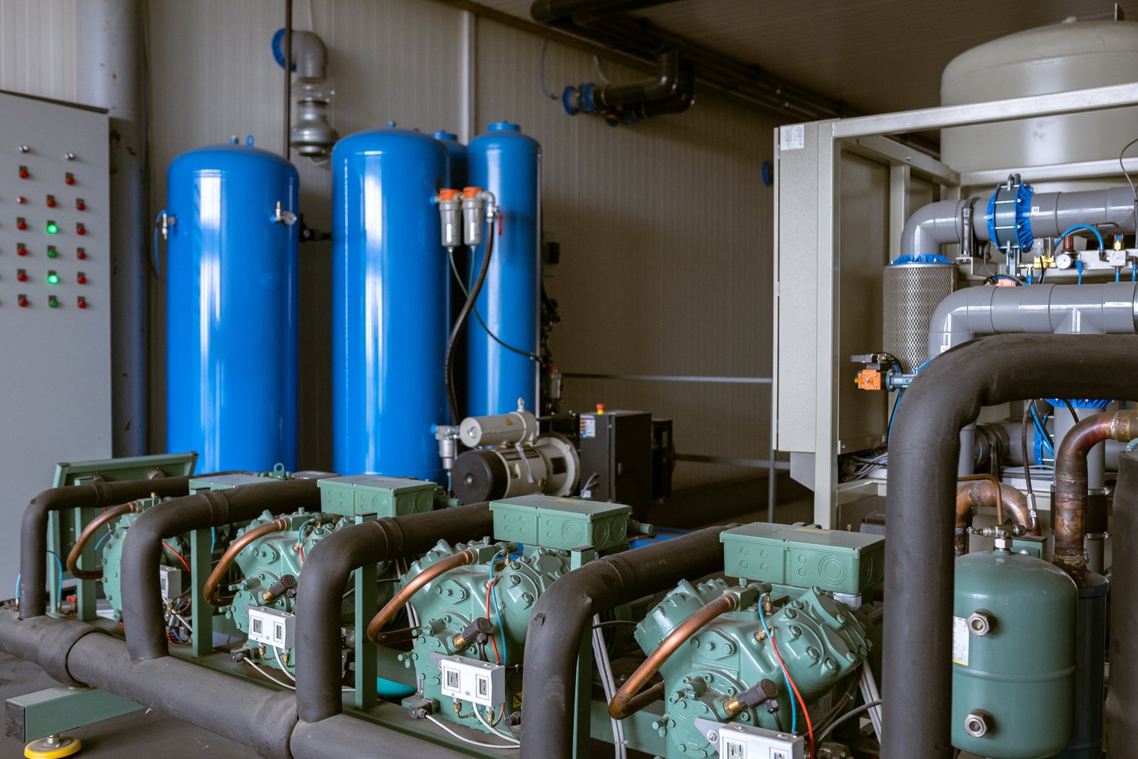 pressure swing adsorption nitrogen generator - lower the level of oxygen in the cold store, respiration is slowed down and the metabolism of important nutrients in fruits and vegetables is reduced