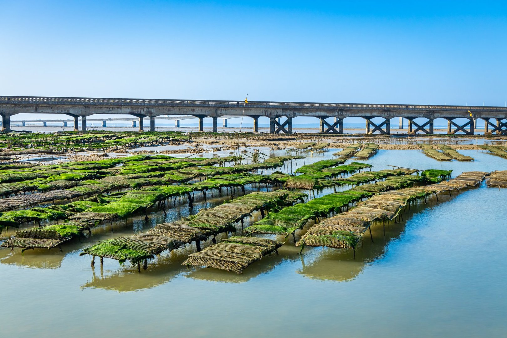 Oyster beds and bridge of Oleron on a sunny day in France