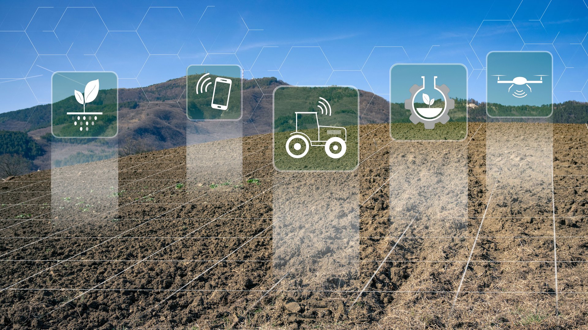 New technology, agriculture management for smart farm system.
Green innovation, sustainable crops