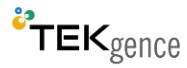 Tekgence Inc logo