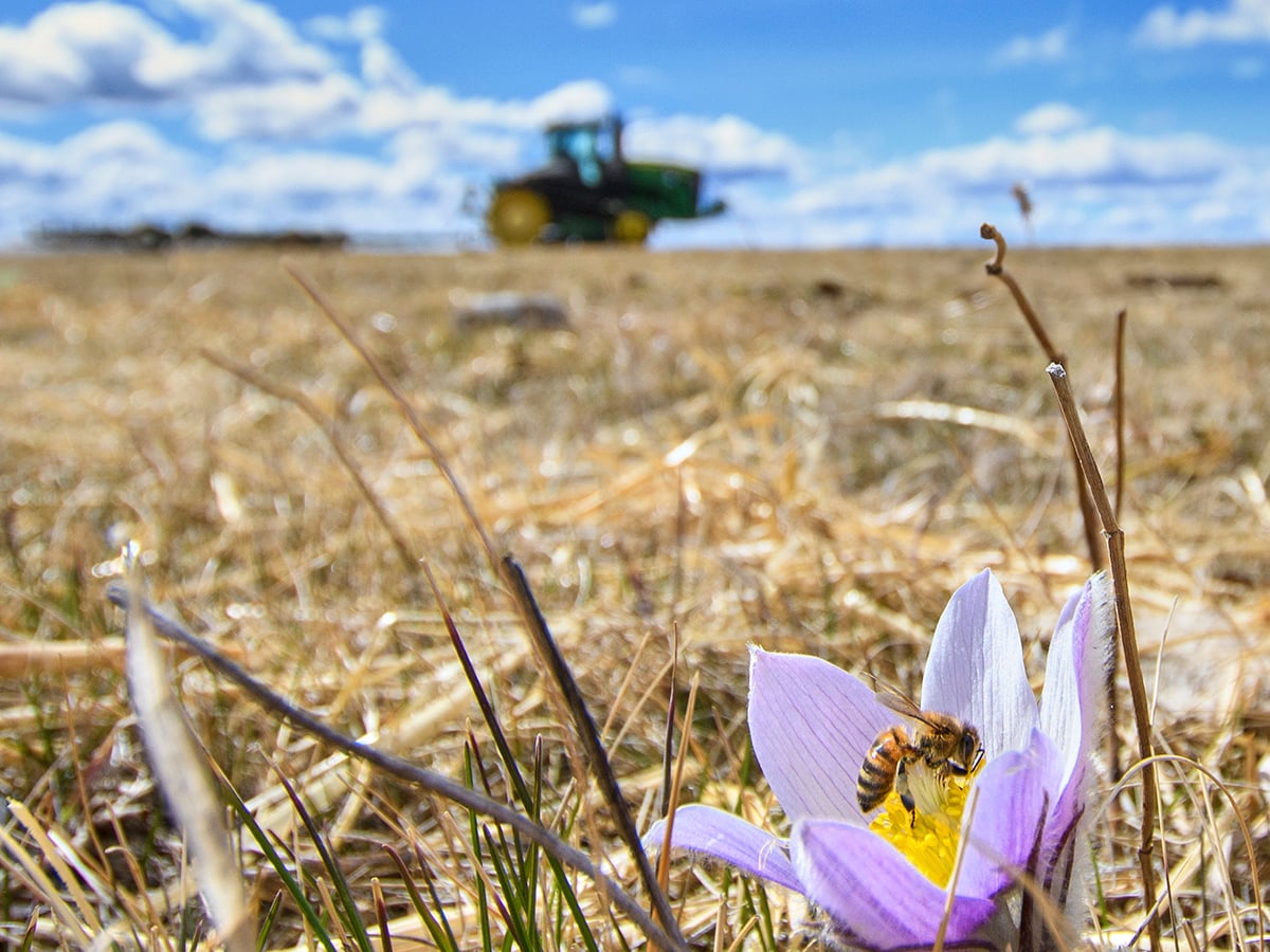 University of Saskatchewan led startup testing AI insect management app