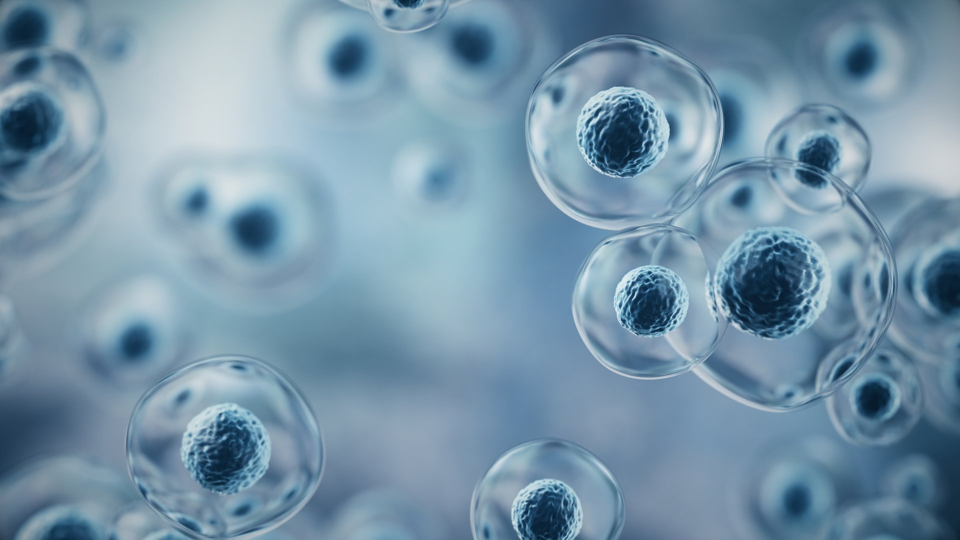 3d rendering Flying Human cell or Embryonic stem cell on microscope background, Depth Of Field.