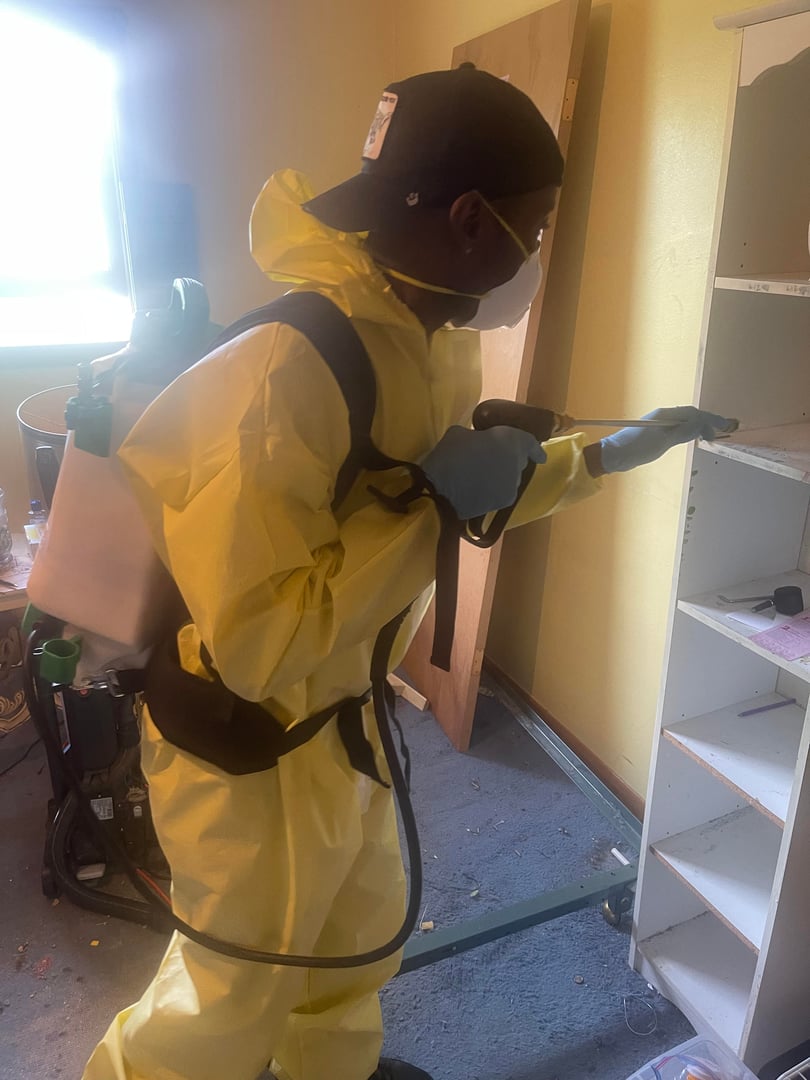 Verminator Pest Eliminator professional service