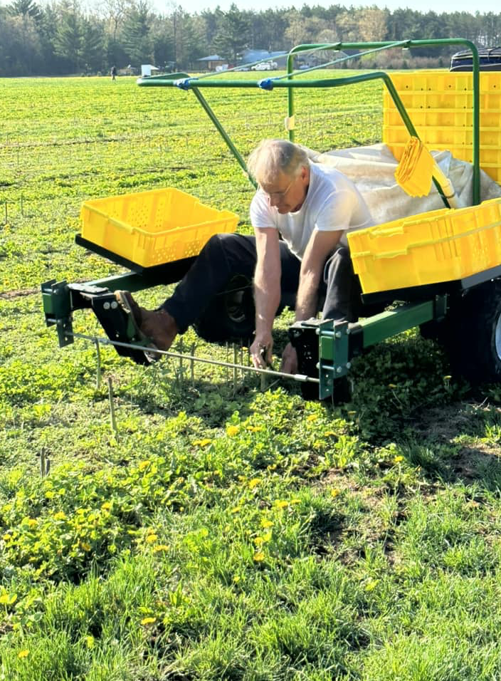 o people are planting a tree in the dirt. The woman is kneeling down and the man is standing up