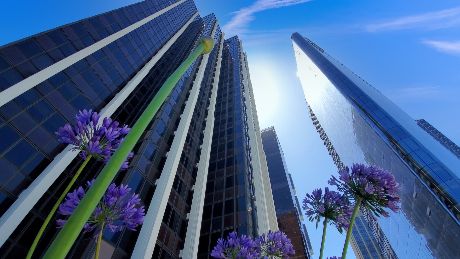 Argentina, Buenos Aires panoramic financial center skyline and business development center.