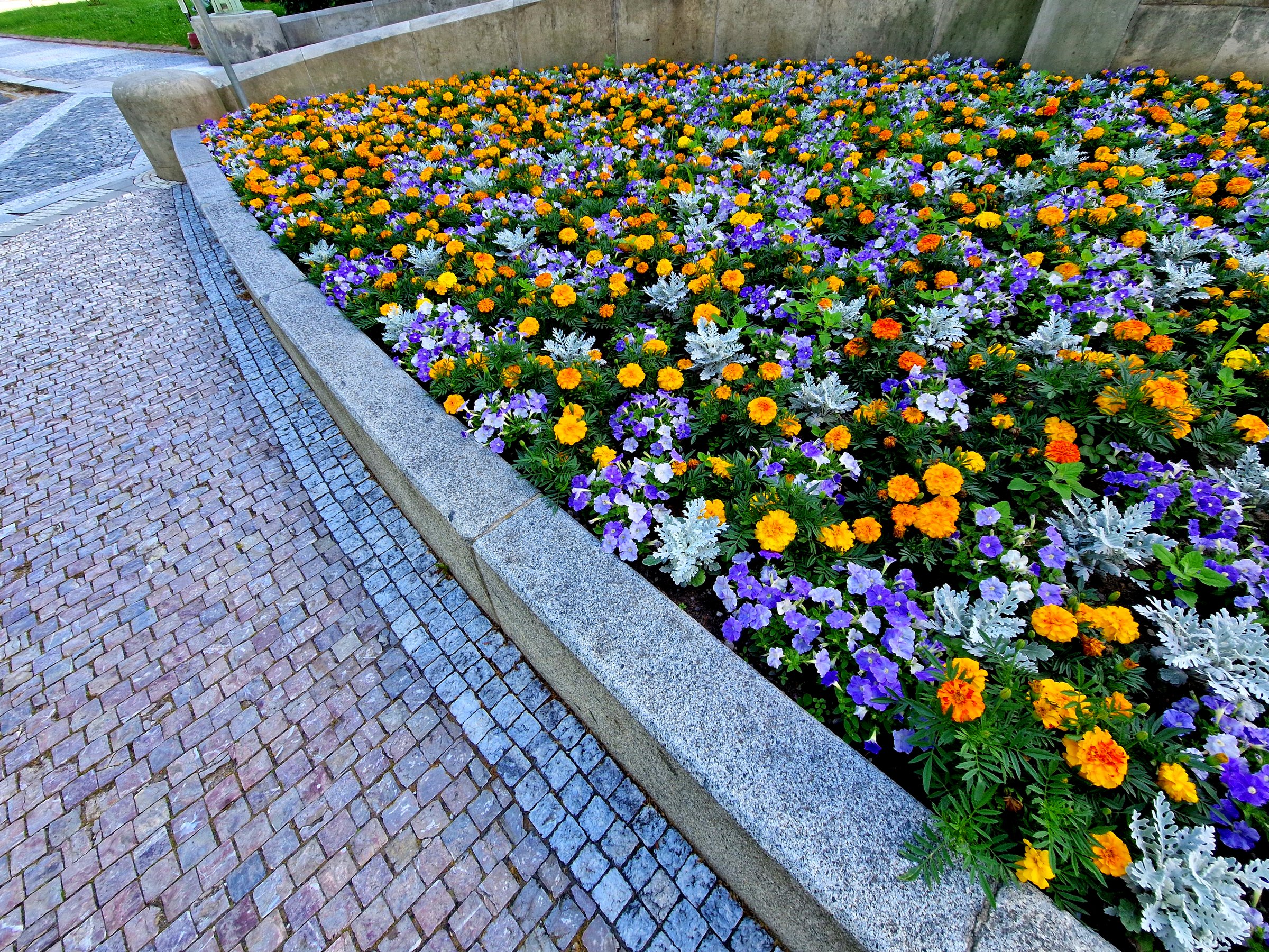 Colorful flower bed with retaining walls