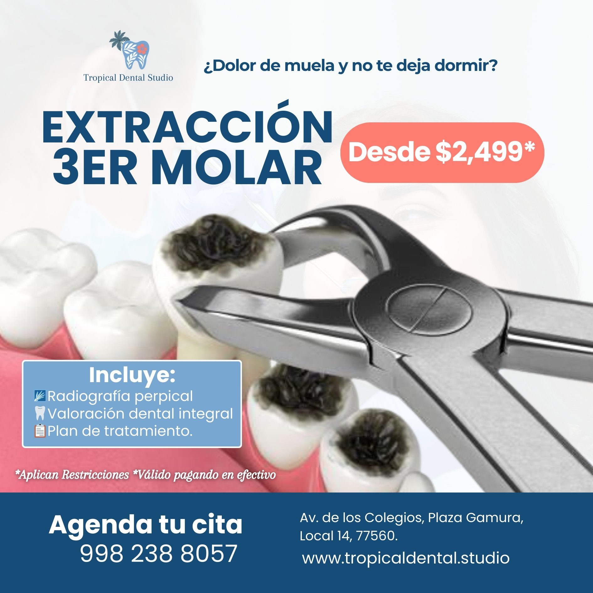 Promoción dental diciembre