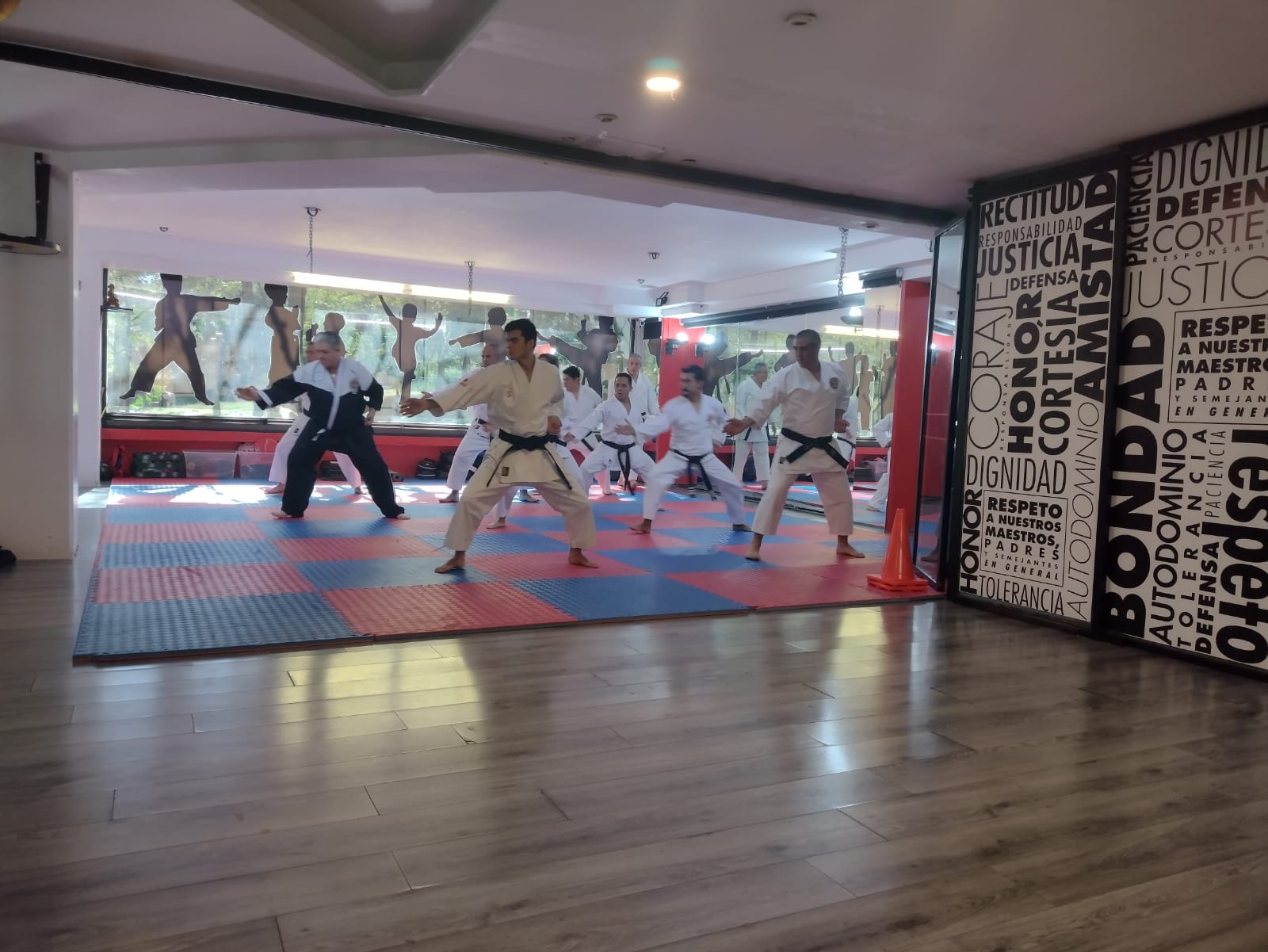 Dojo Image Placeholder 3