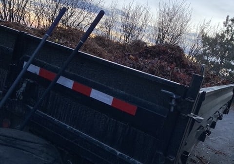 Yard cleaning and waste removal services