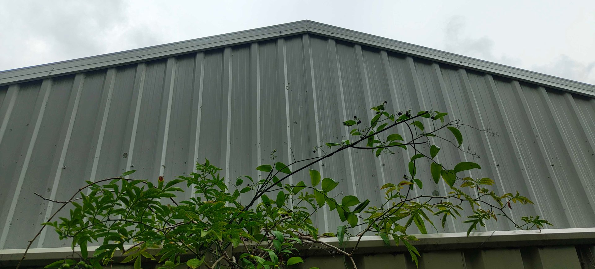 Pavement Restoration