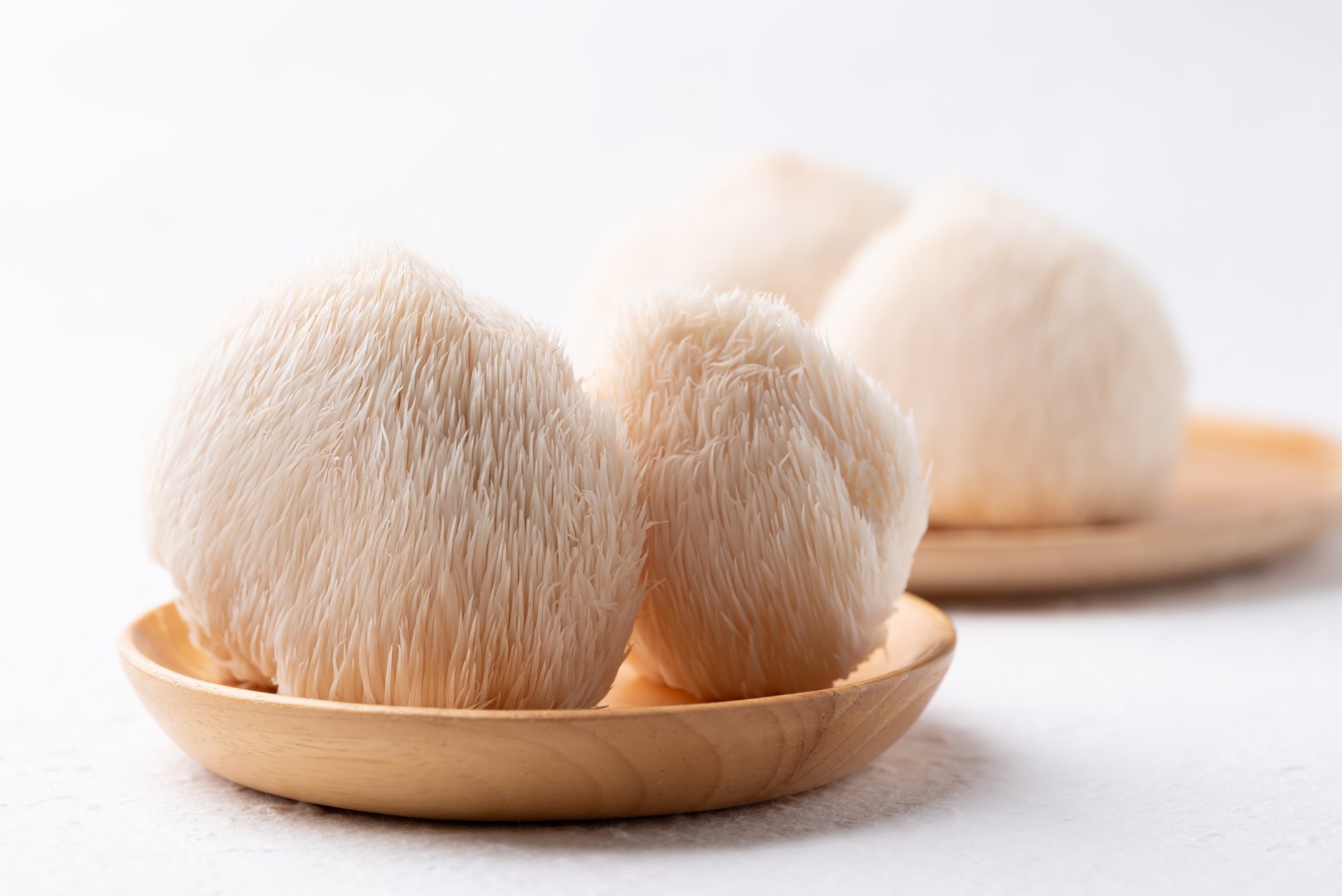 Lion's Mane mushroom or Yamabushitake mushroom on wooden plate
