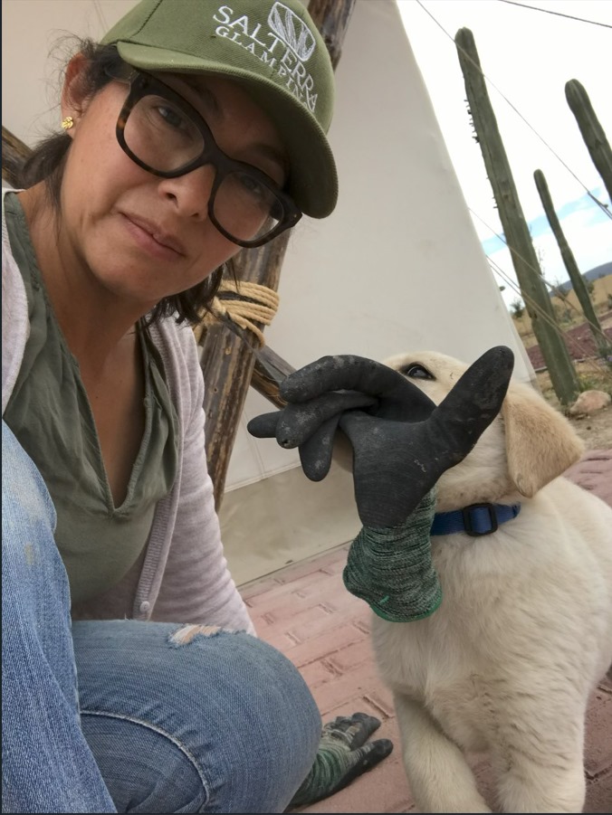 Person in a cap and glasses holding a glove while a puppy playfully bites it outside near cactus plants.