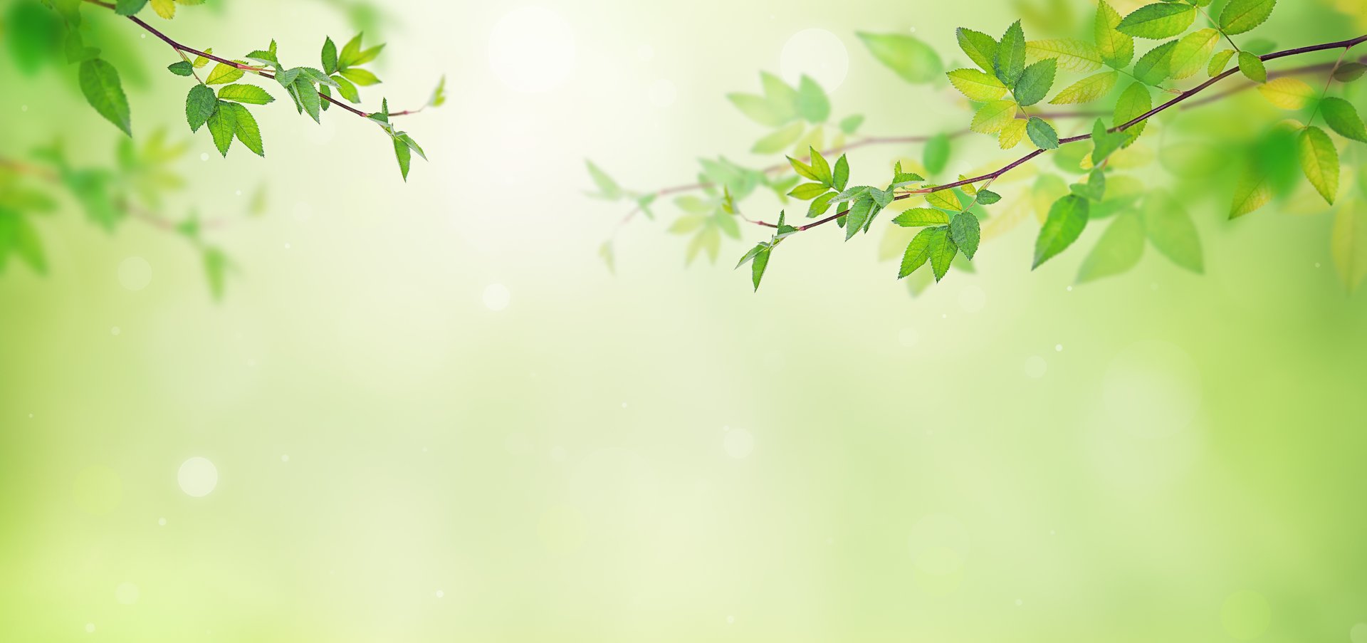 Spring nature