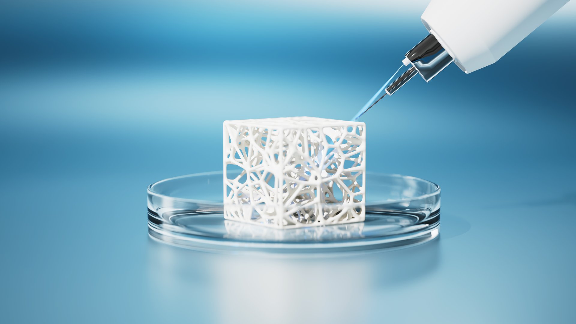 Bioprinted bone sample in petri dish