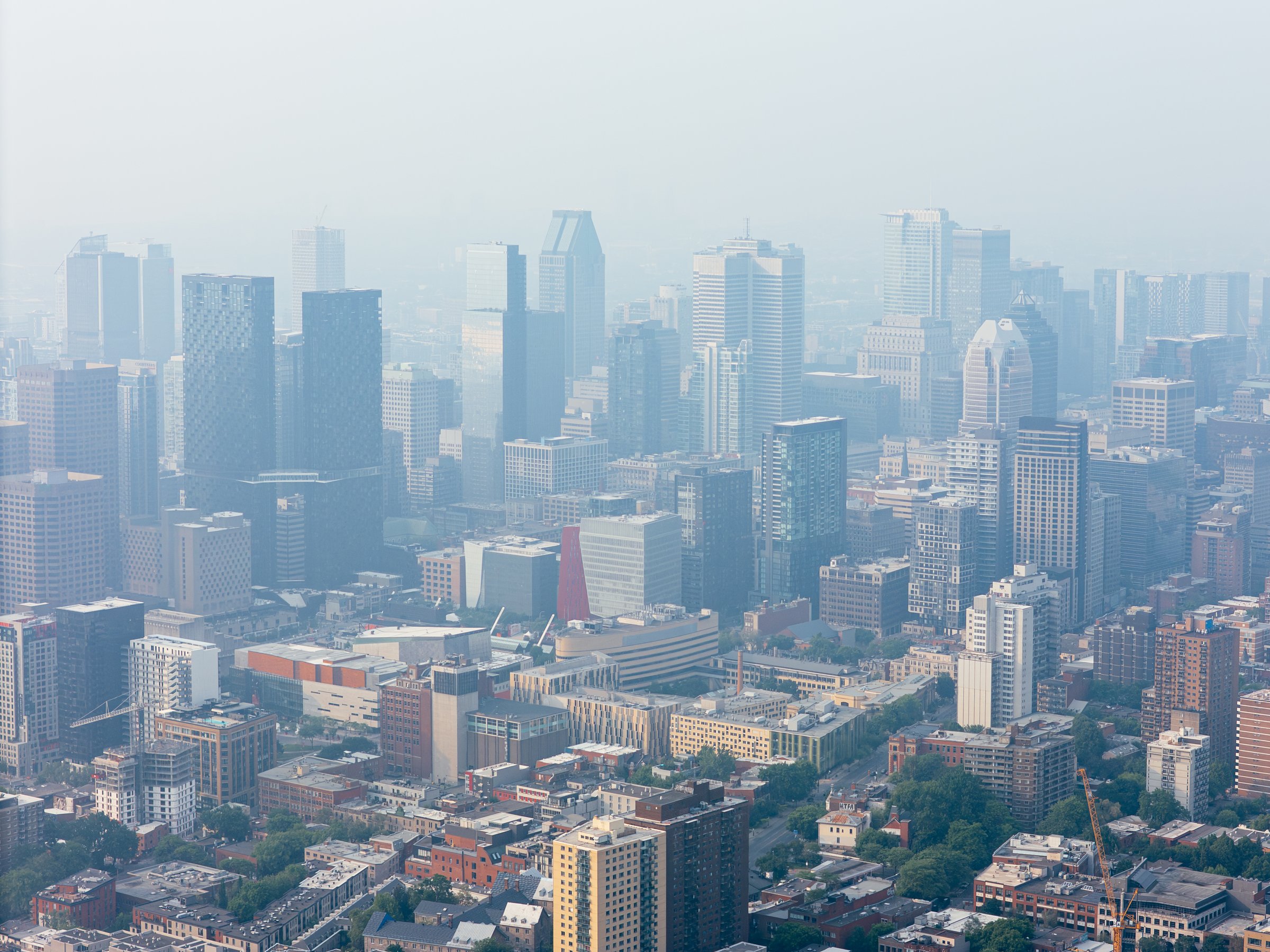 Vue de Montréal - Top 10 quartiers 2026