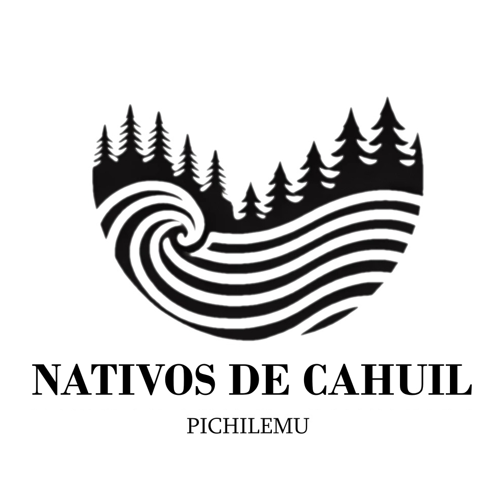 Proyecto Cahuil Logo
