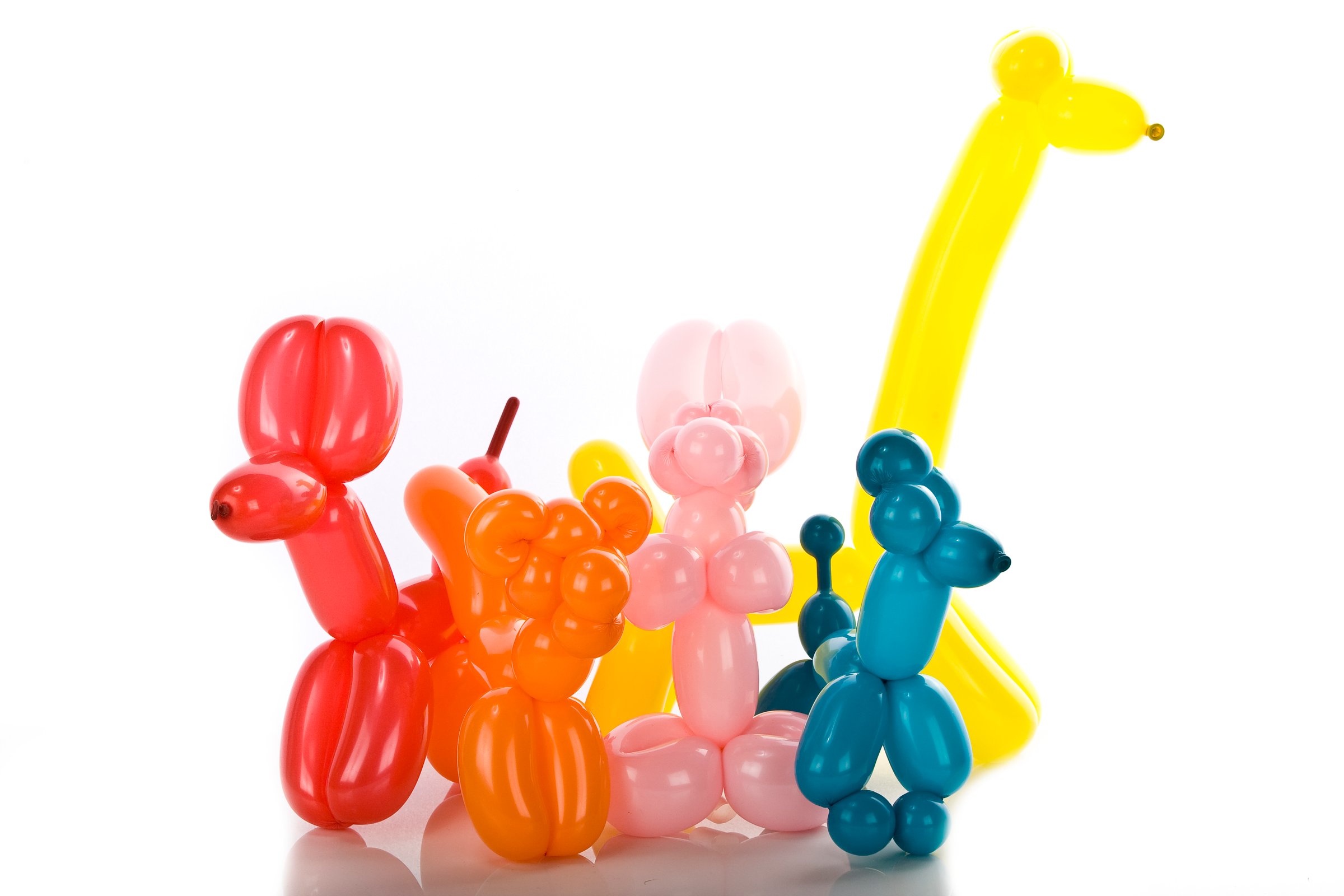 Simple balloon animals on white