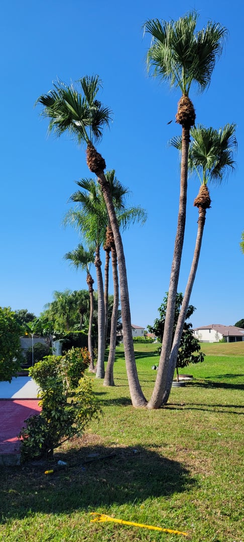 Outdoor construction