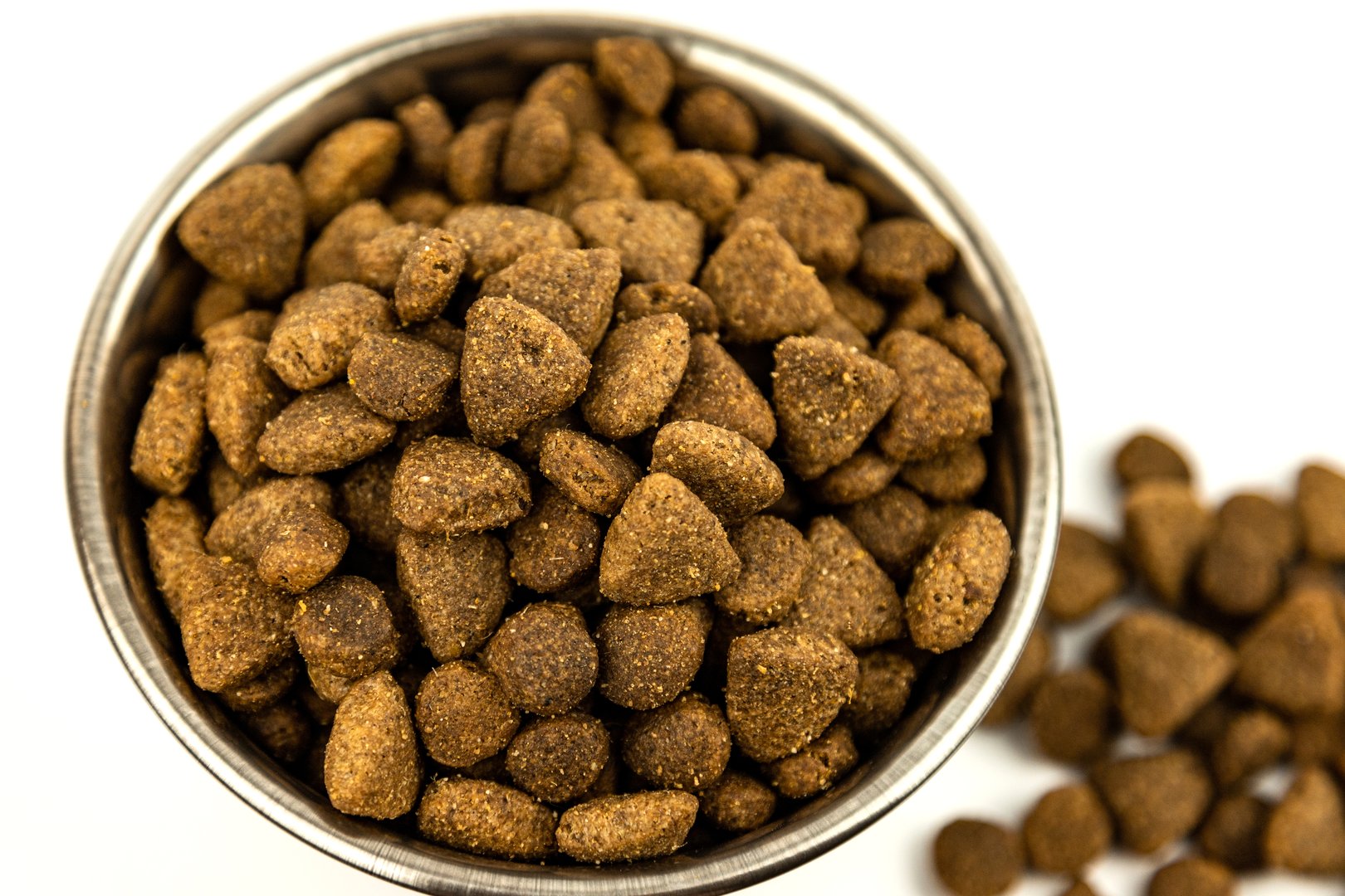 A Steel Bowl full of dog-food. Shot with an overhead camera rig. High quality photo