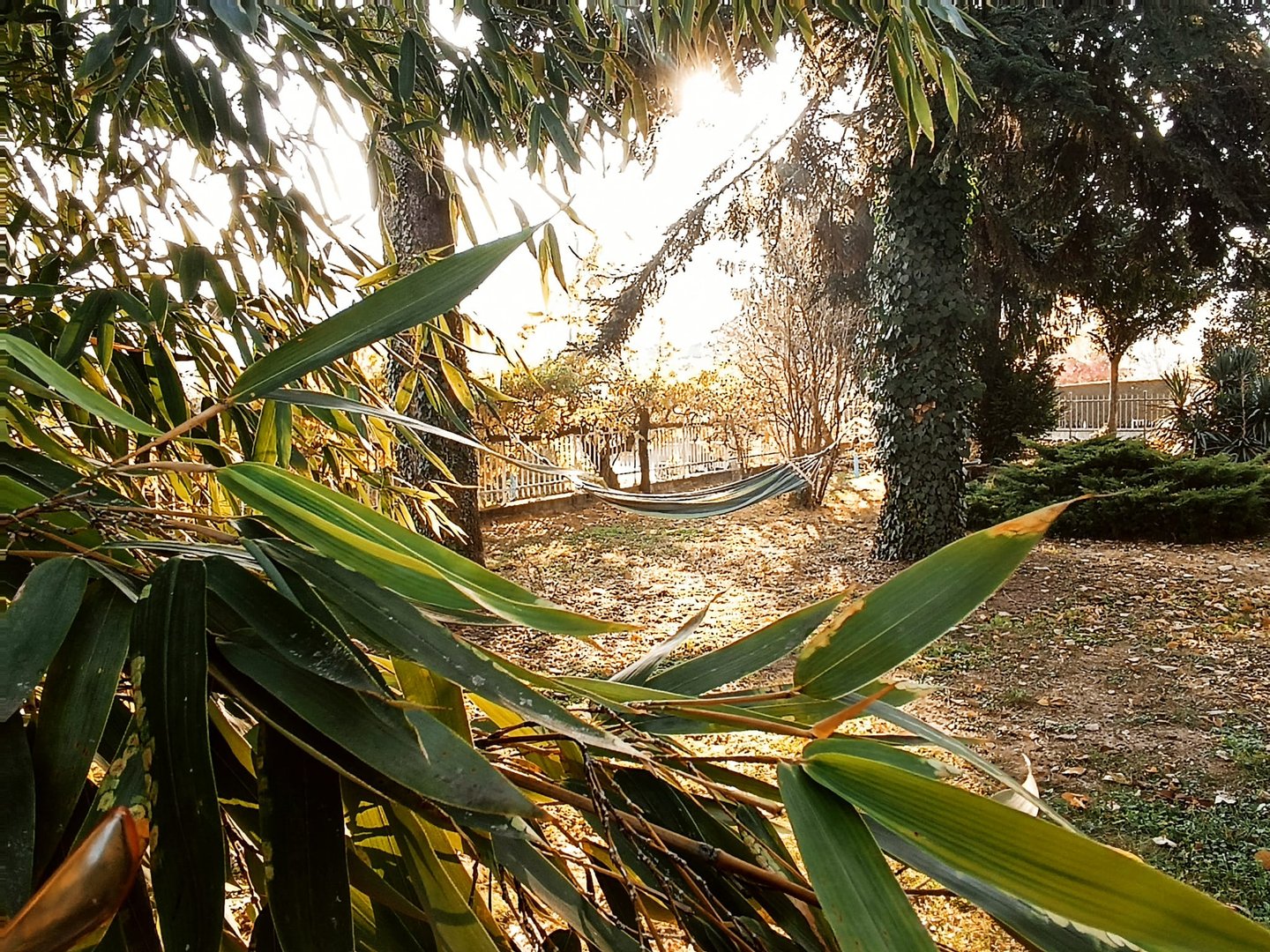 Il Giardino di Costanza - Vista panoramica del giardino