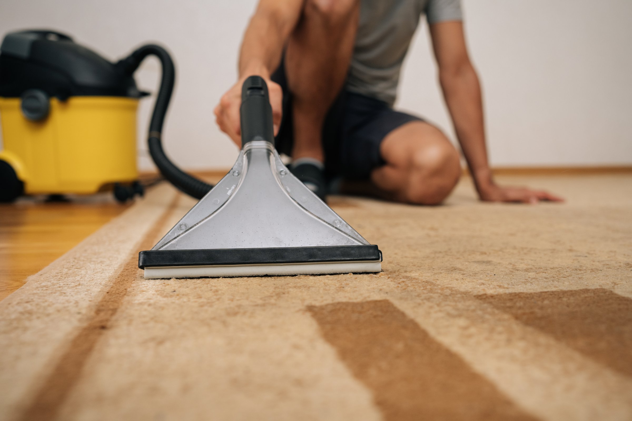 Professional cleaning service worker using washing vacuum cleaner to remove dirt and dust from carpet, ensuring clean and healthy home environment. Concept of household chores and hygiene.