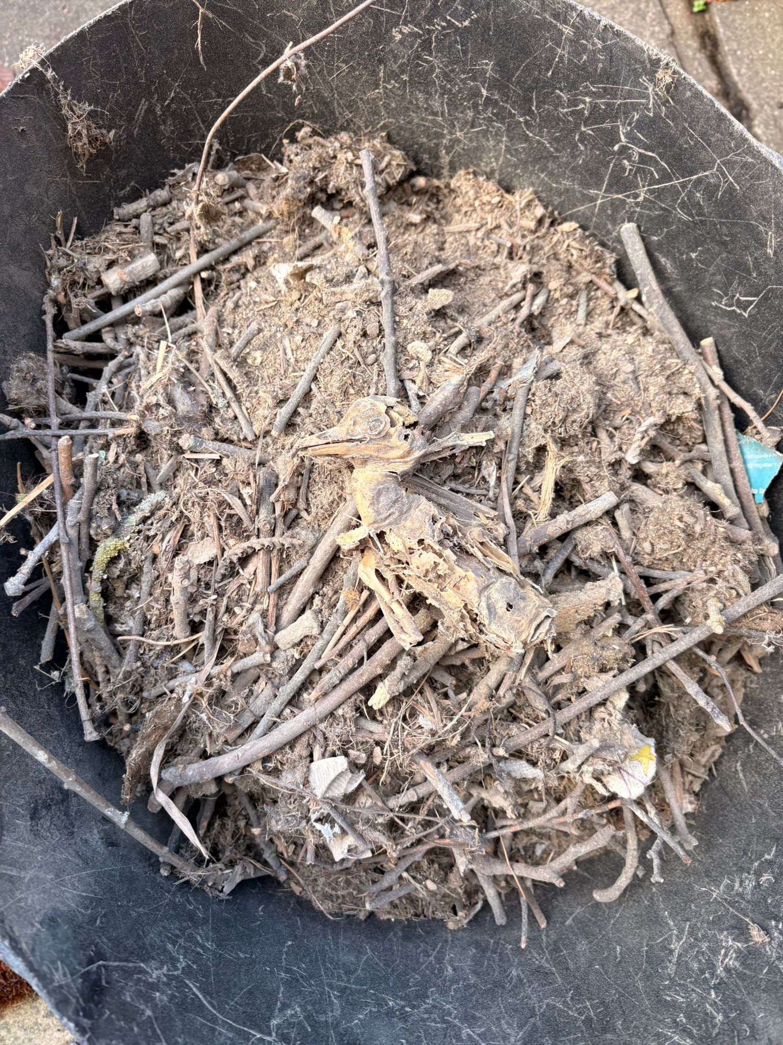 Critical chimney blockage risk