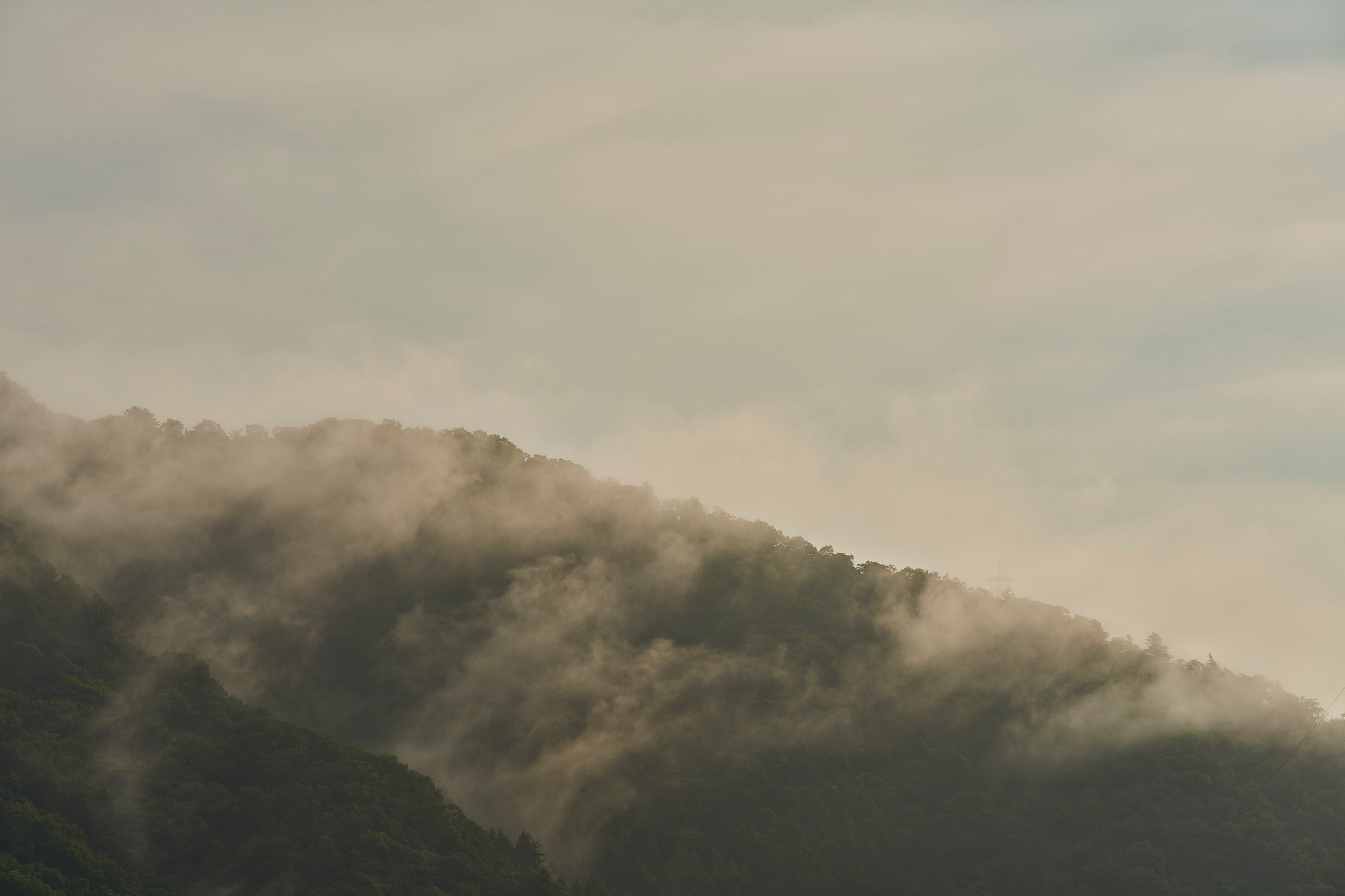 Like the sea, a white mist flows slowly down the mountainside. The soft veil partially conceals the deep green mountainside, revealing only the peak like an island floating above the clouds. The humid air and deep silence. This photo captures the mysterious and majestic expression of nature, as if you had wandered into the world of a traditional ink painting.