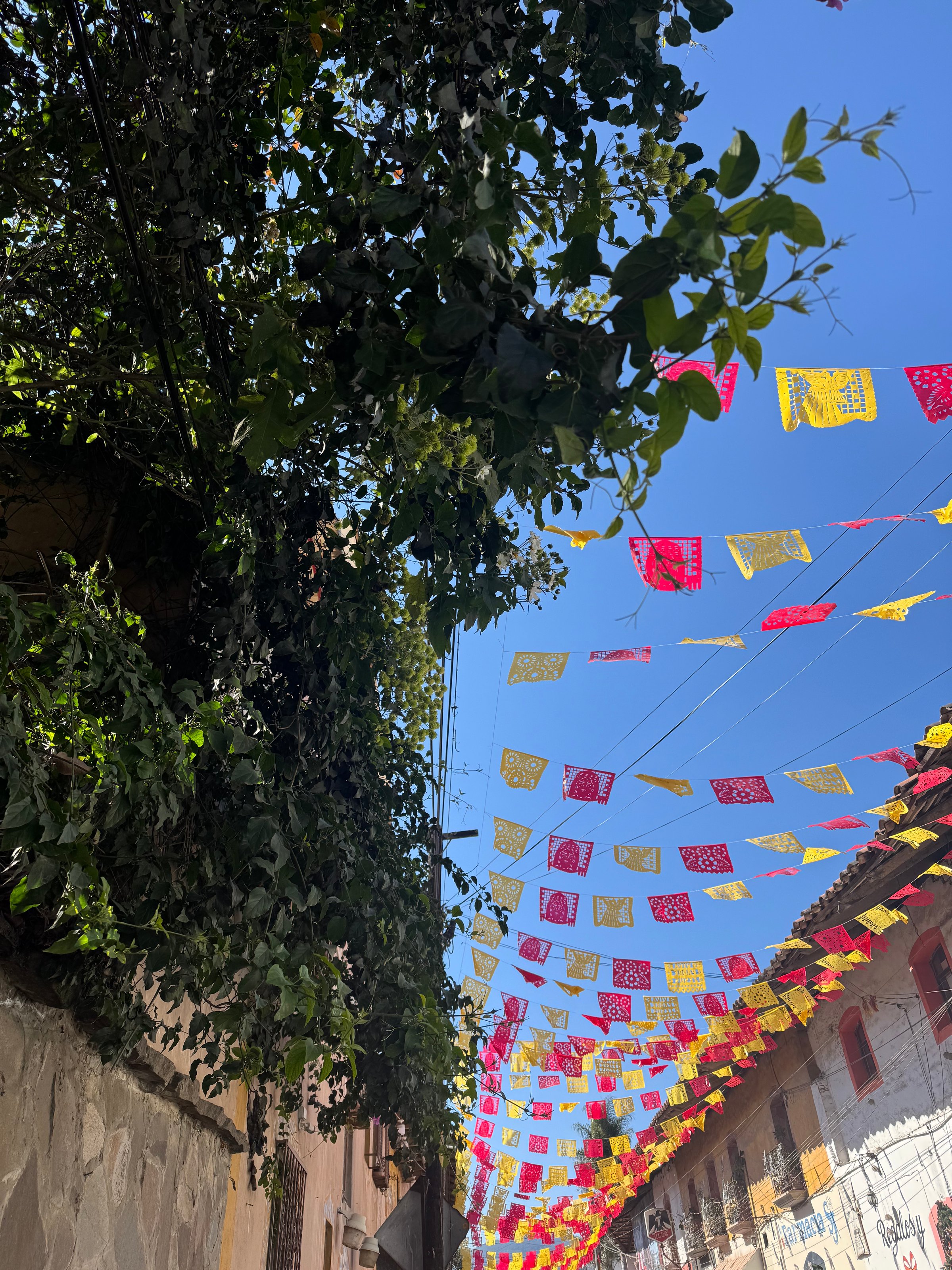 Colorful papel picado banners hanging above a narrow street with greenery and clear blue sky in the background.