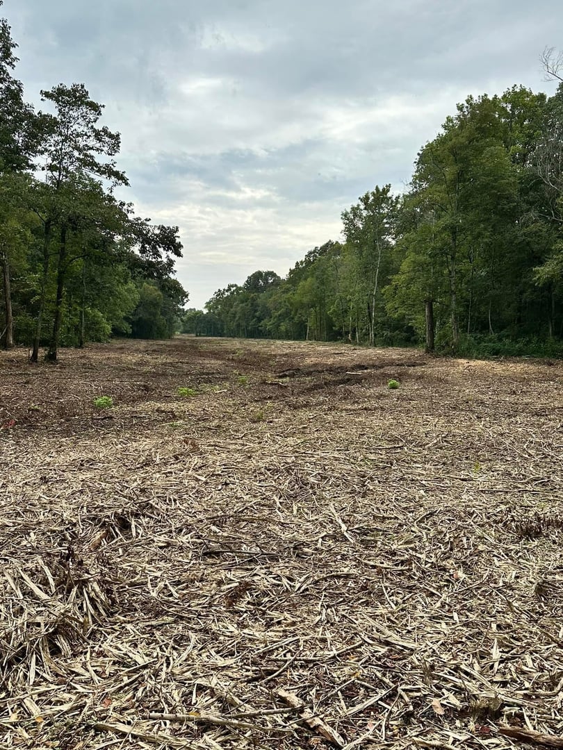 Professional stump grinding and removal