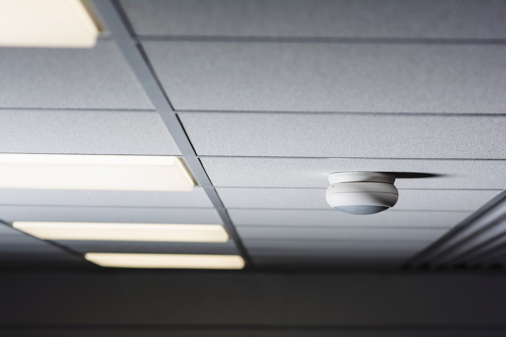 Detector mounted on the ceiling