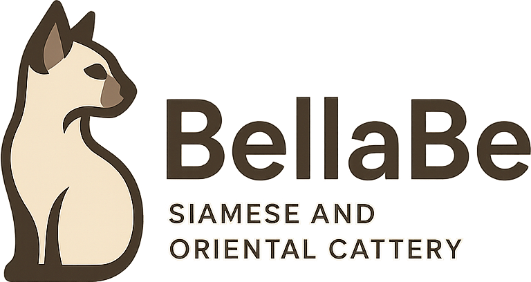 BellaBi Siamese and Oriental Cattery