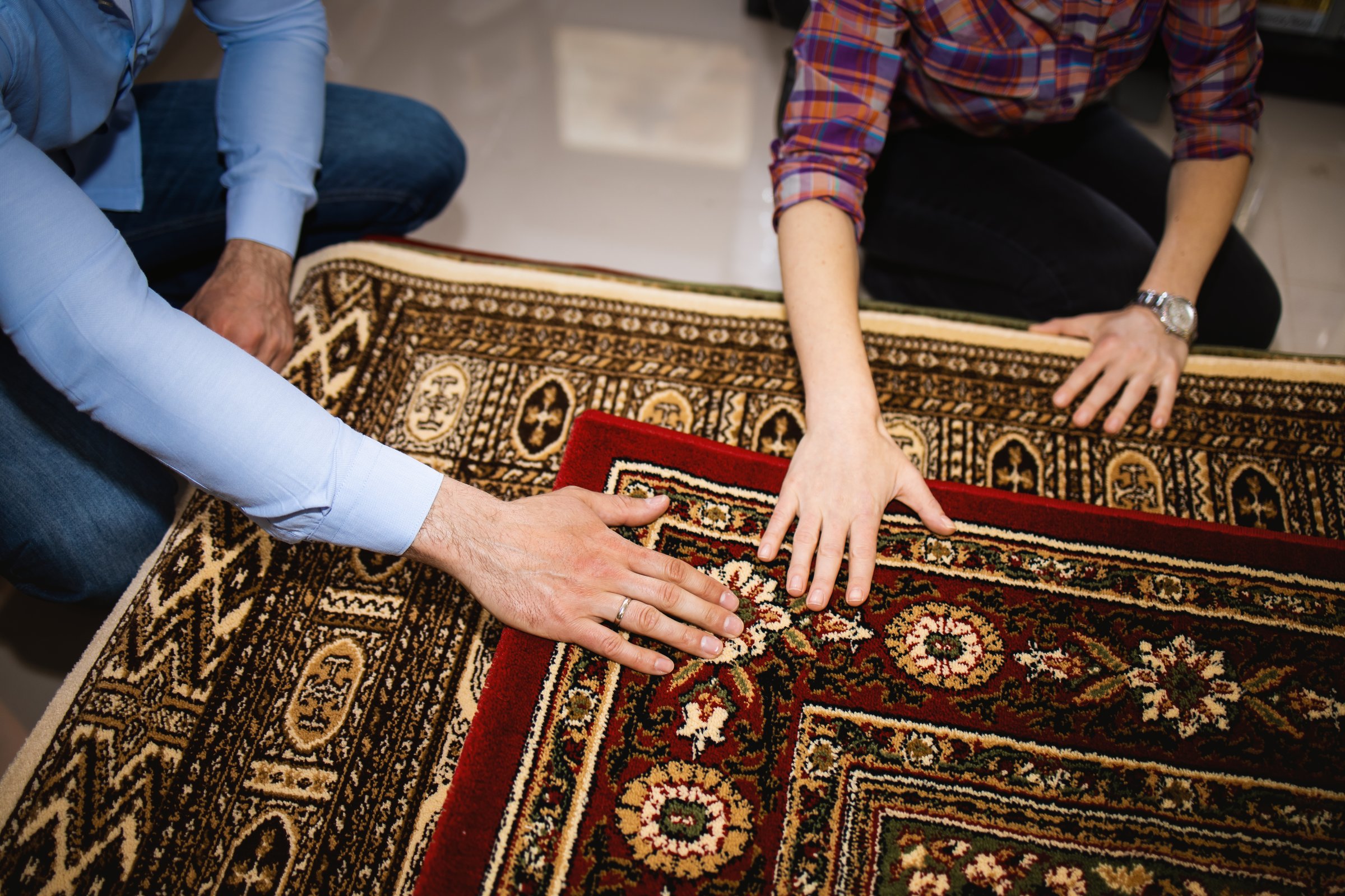 Professional inspection and treatment for rug moths