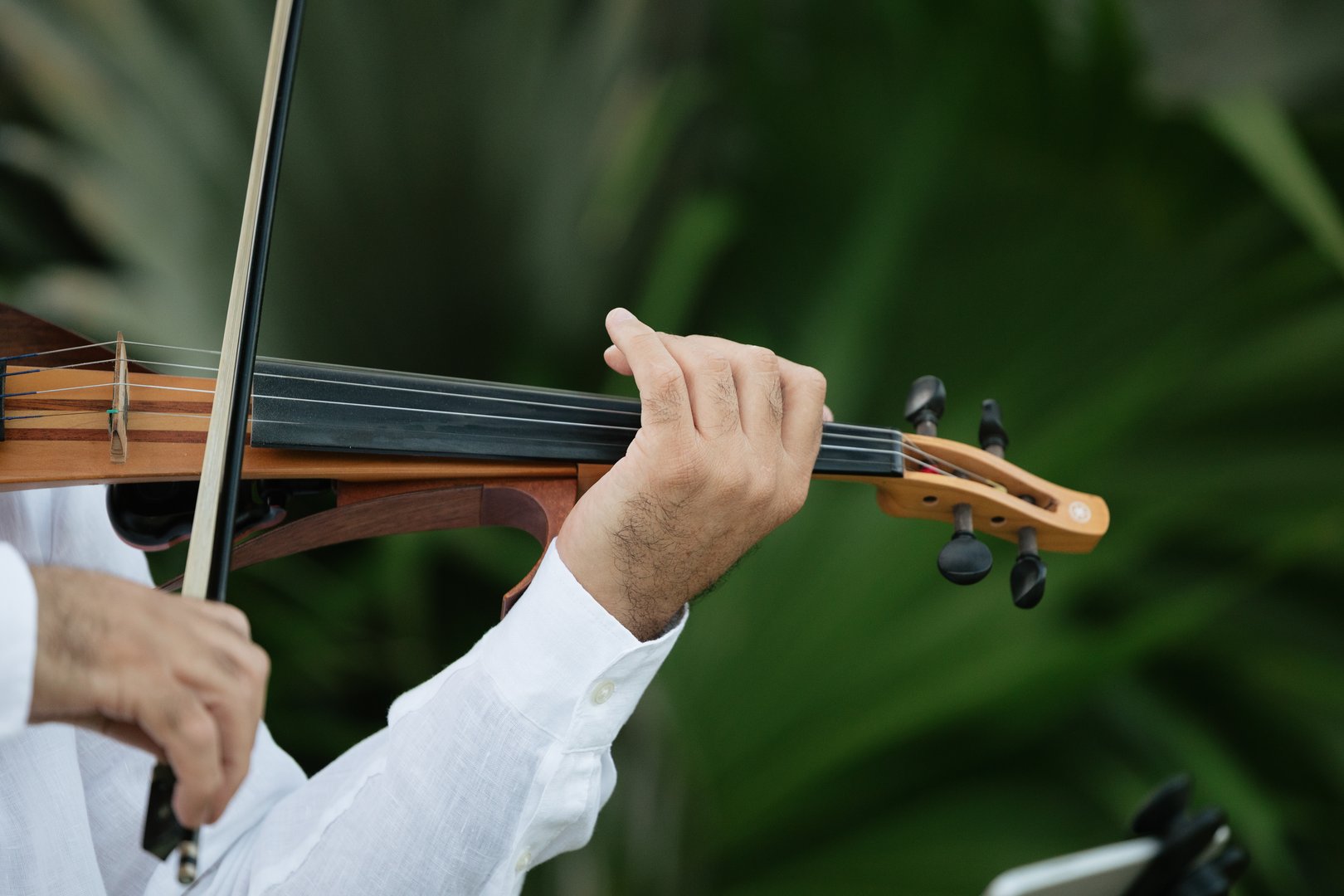 Musician Playing Violin During Outdoor Wedding Ceremony