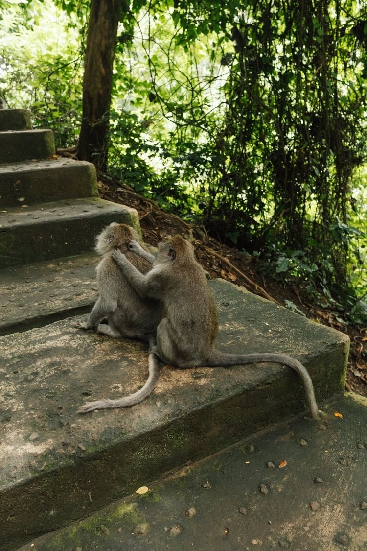 Retreat Journey to Your Higher Self