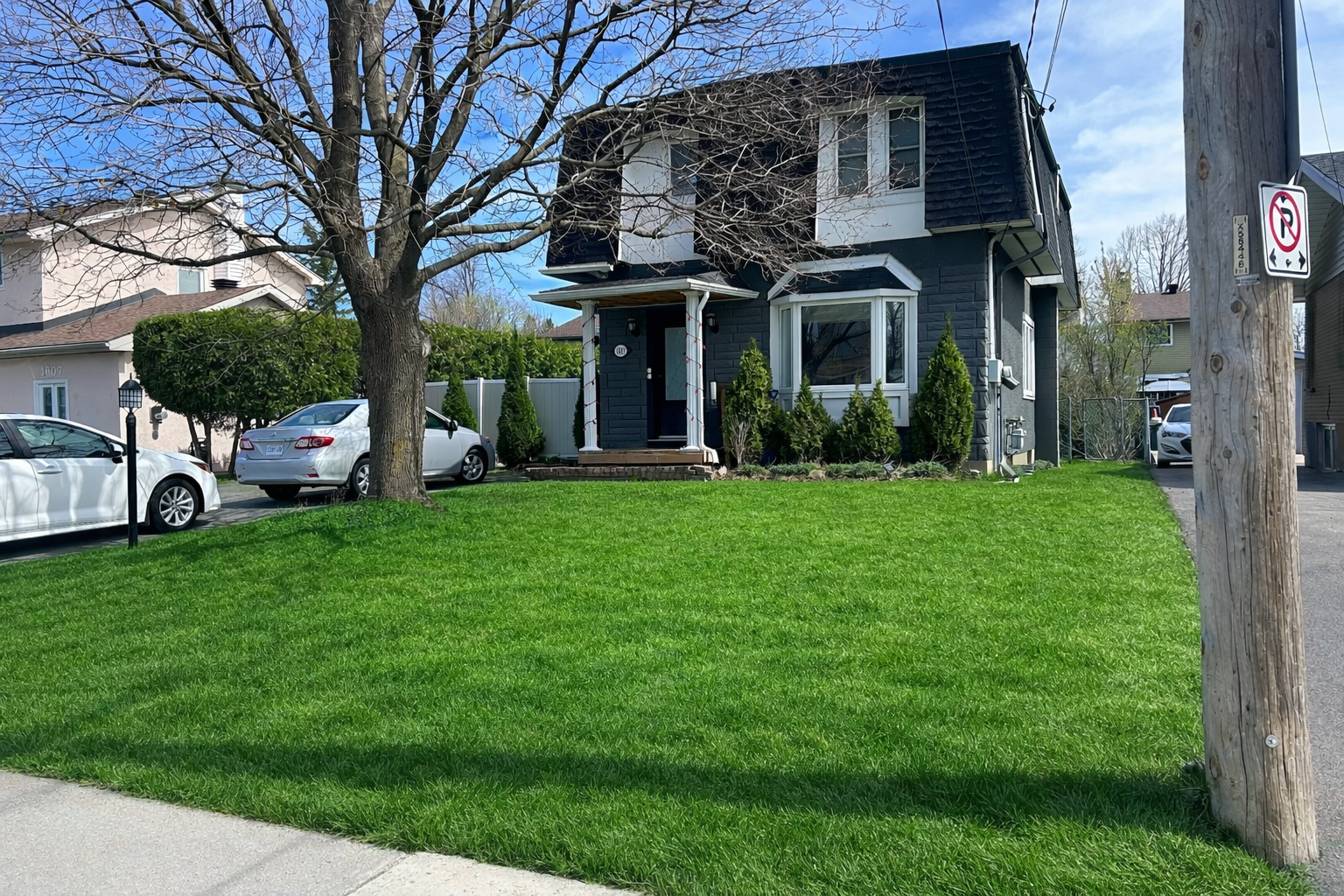 Capital City Grass lawn care project