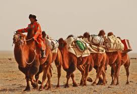 Life and nature in Mongolia