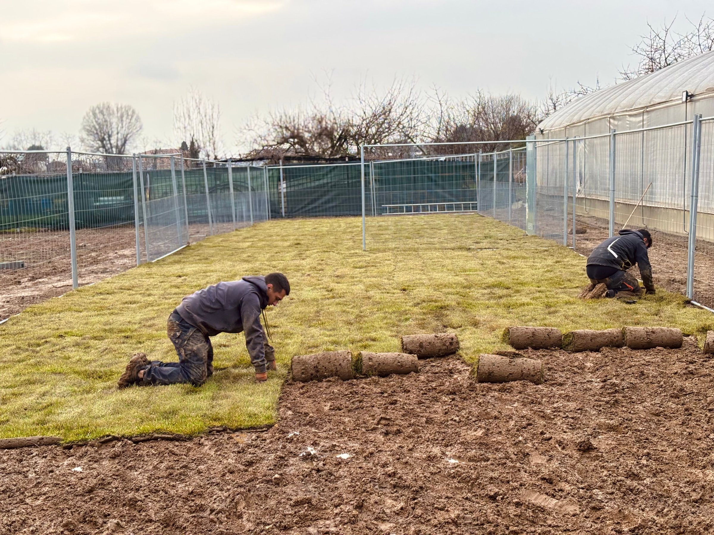 Realizzazione giardini V&M Group - Progetti su misura