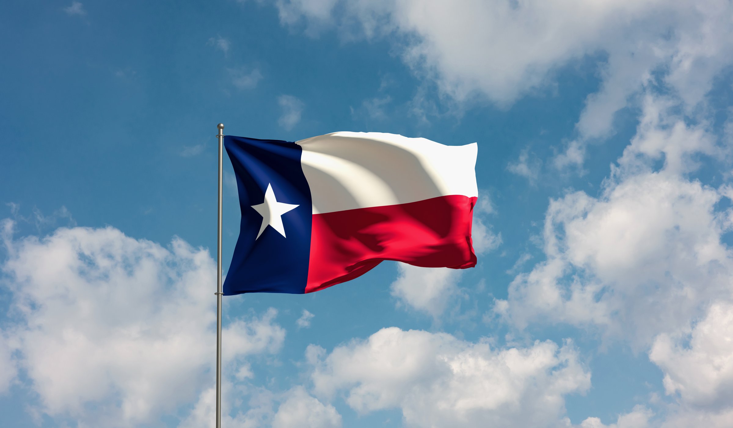 Texas Business Landscape