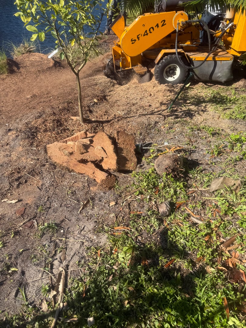 Stump grinding service in action