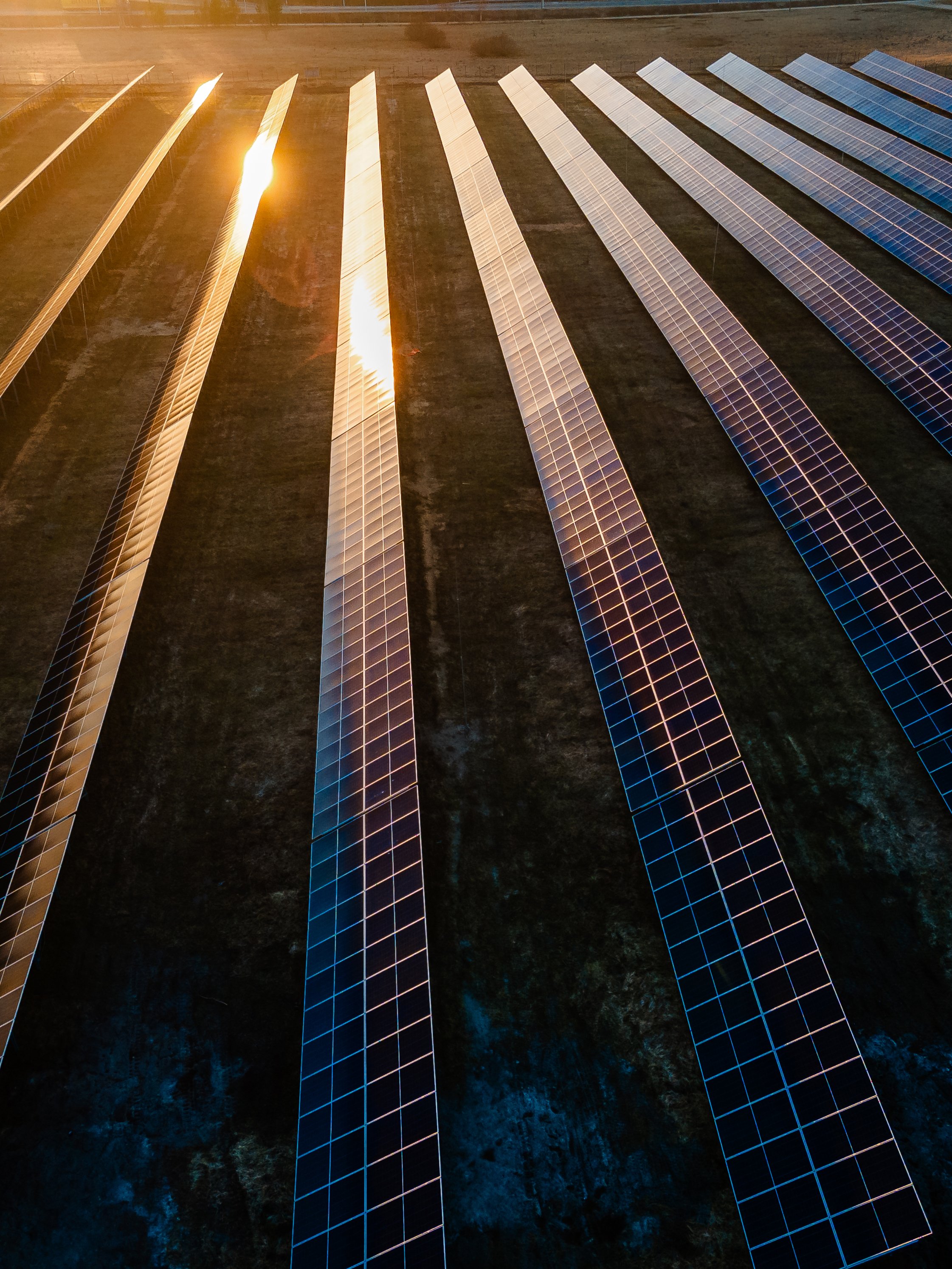 Aerial view of industrial sized solar panel farm during sunset,  illustrating the blend of technology and nature