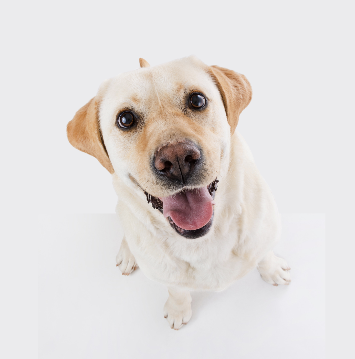 Evaluación de Conducta