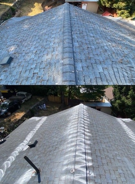 Professional moss treatment and prevention service by Nicholson's Cleaning