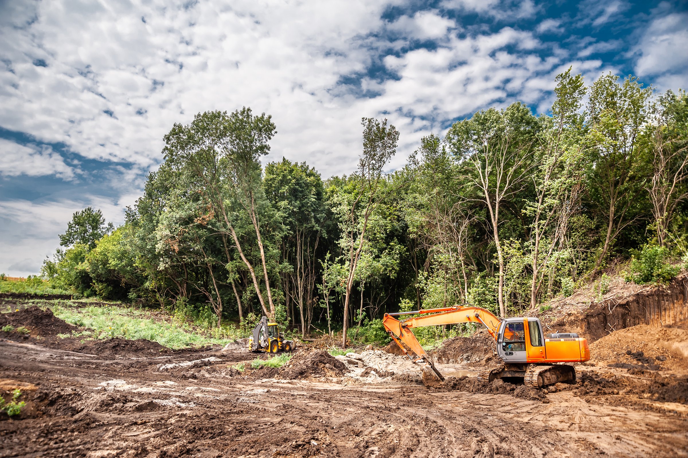An excavator clears a site in the forest for the construction of a bridge
