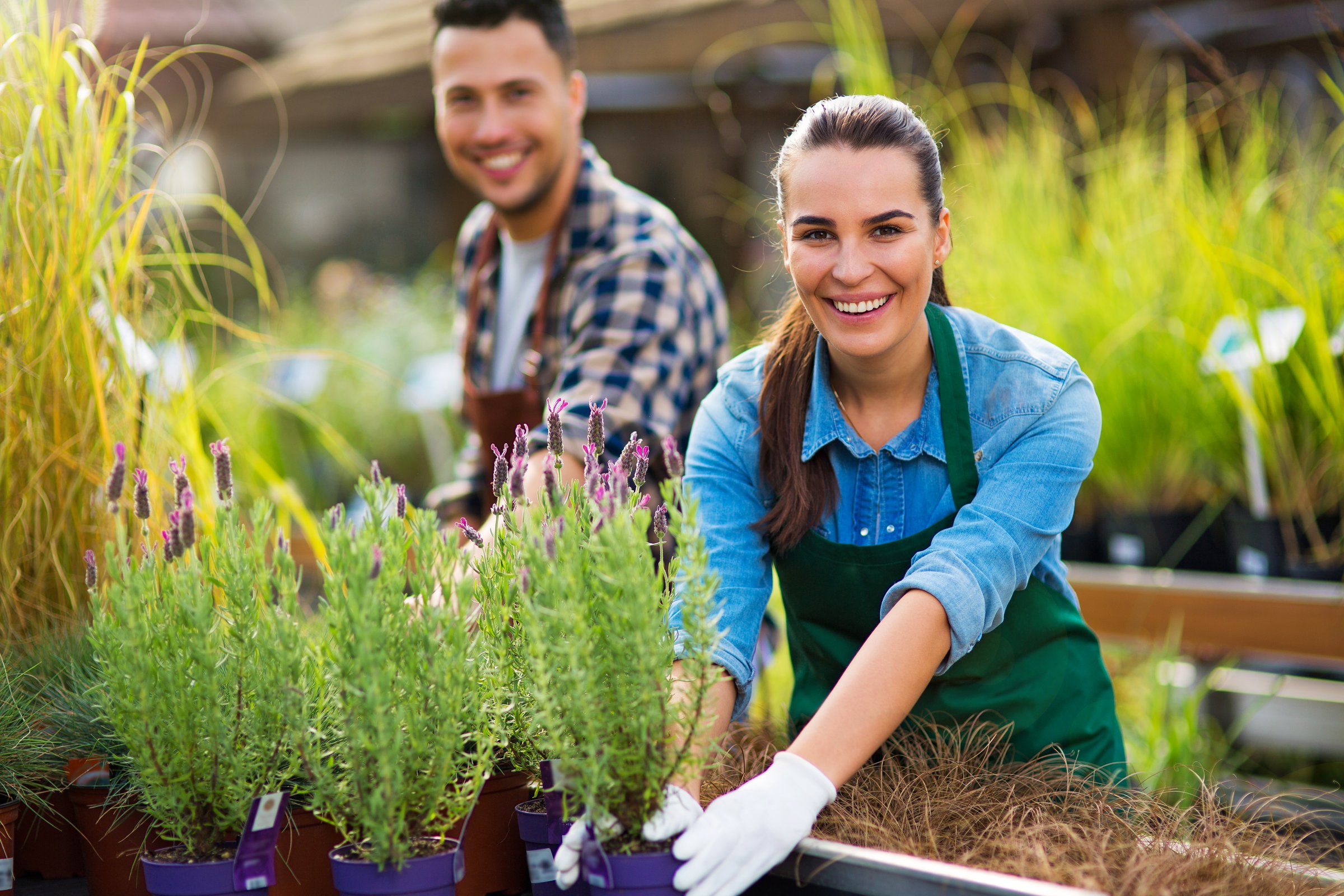 Smiling employees in garden center