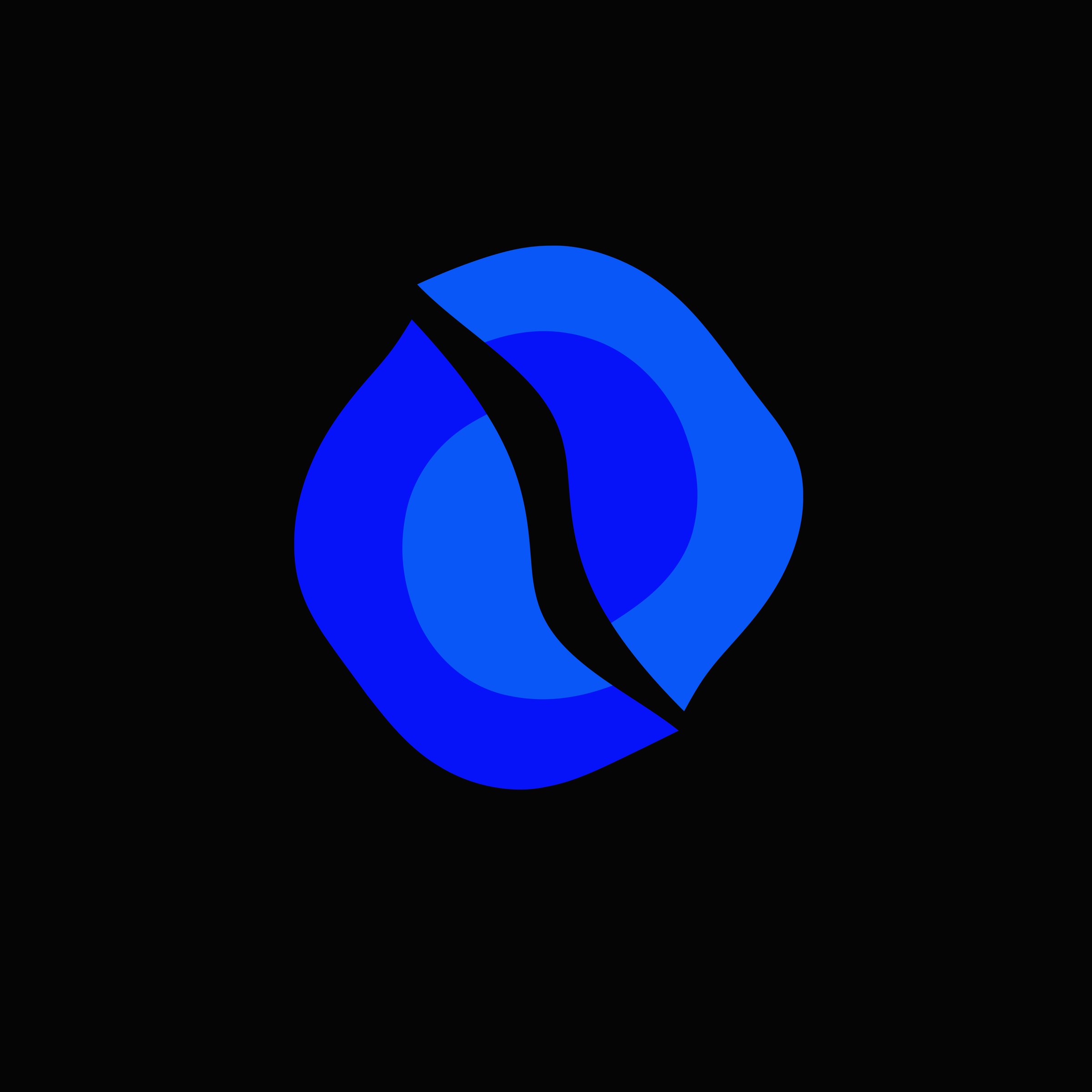 The Organisation