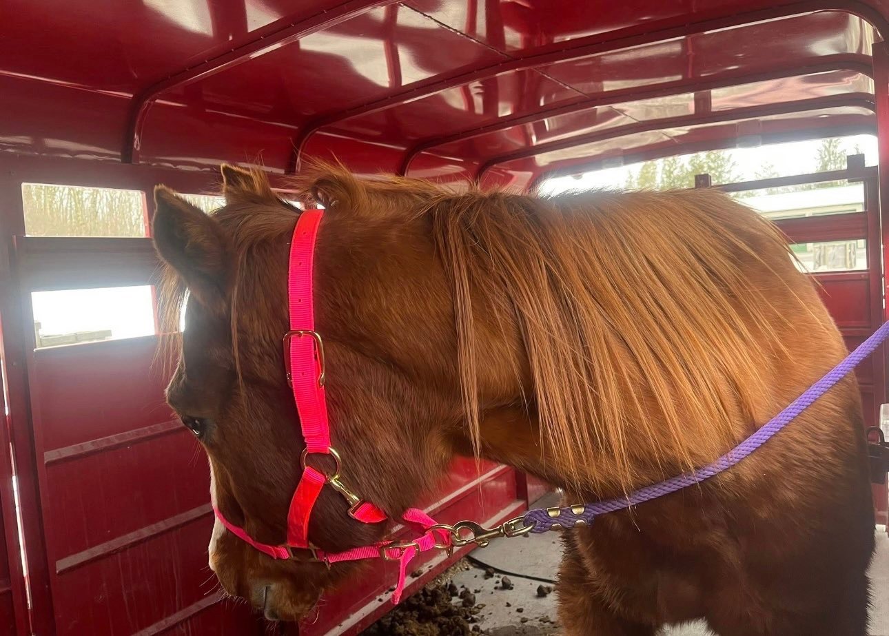 High Country Trailer