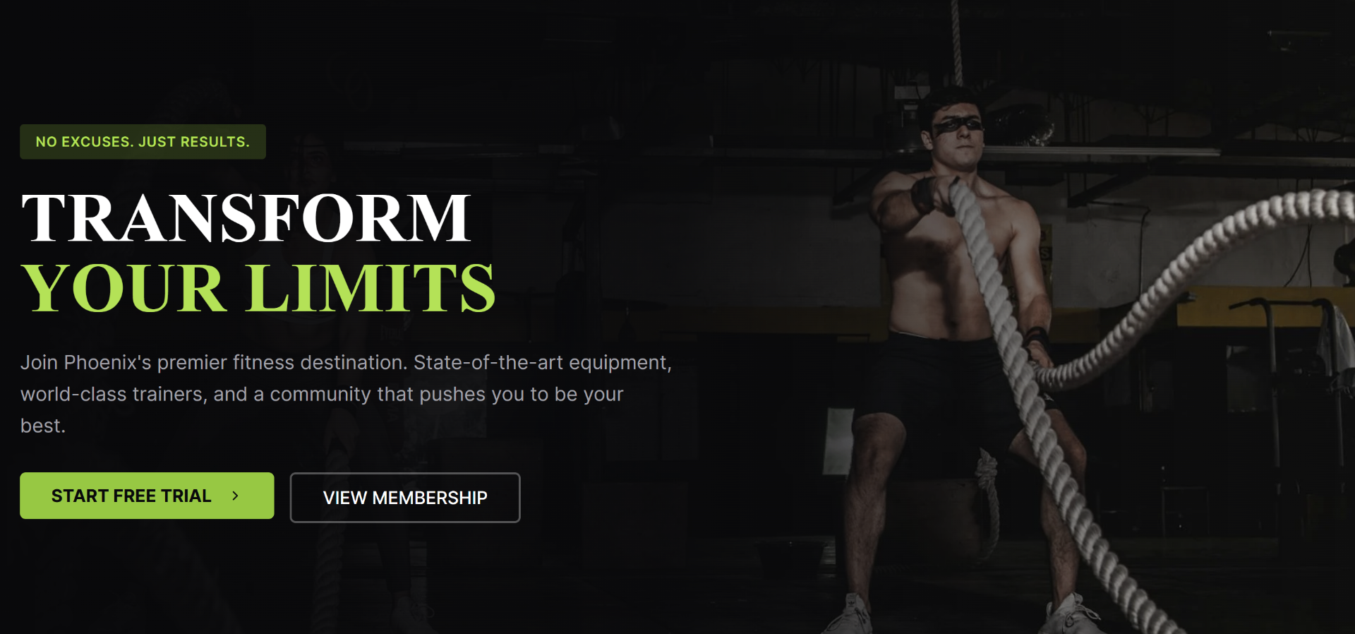 Website Design Example 15