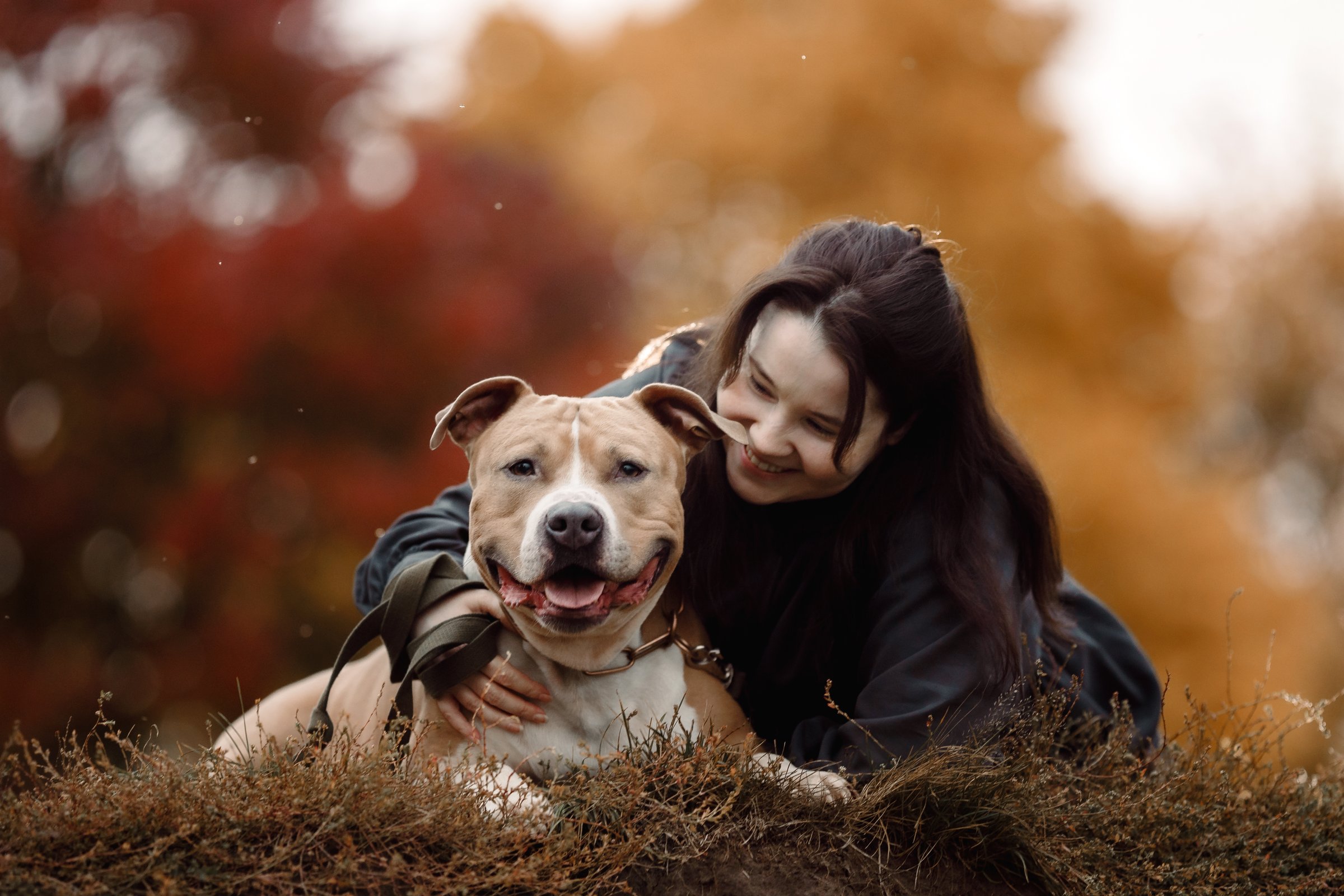 Owner plays with her dog in the park in autumn